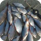 Зимняя рыбалка на реке Хопёр
